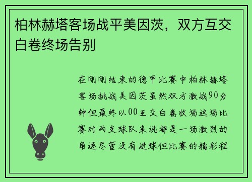 柏林赫塔客场战平美因茨，双方互交白卷终场告别